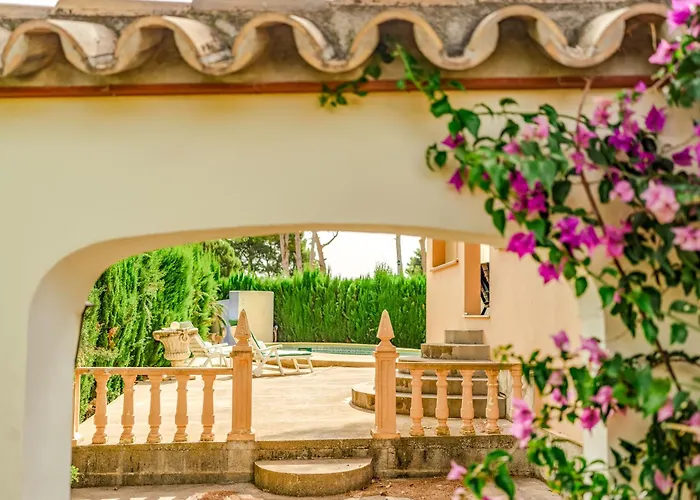 La Mediterranea De Heracles En * Denia